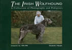 The Irish Wolfhound. Collection of photographs and pedigrees