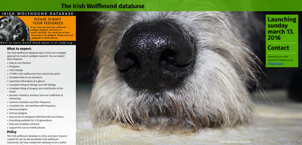 The Irish Wolfhound database